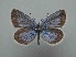  ( - JFC24068)  @11 [ ] Copyright (2024) Jean-Francois Charmeux Unspecified