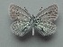  ( - JFC24069)  @11 [ ] Copyright (2024) Jean-Francois Charmeux Unspecified