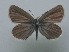  ( - JFC24070)  @11 [ ] Copyright (2024) Jean-Francois Charmeux Unspecified