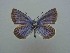  ( - JFC24072)  @11 [ ] Copyright (2024) Jean-Francois Charmeux Unspecified