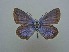  ( - JFC24073)  @11 [ ] Copyright (2024) Jean-Francois Charmeux Unspecified