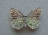  ( - JFC24073)  @11 [ ] Copyright (2024) Jean-Francois Charmeux Unspecified