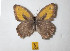  ( - Naderi2024-50)  @11 [ ] Copyright (2024) Alireza Naderi Unspecified