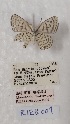  ( - VN-RIEB01)  @11 [ ] Copyrght (2025) Research Institute of Evolutionary Biology, Tokyo, Japan Unspecified