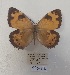  ( - SBG22)  @11 [ ] Copyright (2024) Haus der Natur, Salzburg Unspecified