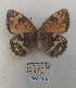  ( - SBG22)  @11 [ ] Copyright (2024) Haus der Natur, Salzburg Unspecified