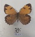  ( - SBG23)  @11 [ ] Copyright (2024) Haus der Natur, Salzburg Unspecified