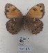  ( - SBG23)  @11 [ ] Copyright (2024) Haus der Natur, Salzburg Unspecified