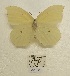  ( - SBG30)  @11 [ ] Copyright (2024) Haus der Natur, Salzburg Unspecified