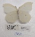  ( - SBG31)  @11 [ ] Copyright (2024) Haus der Natur, Salzburg Unspecified