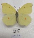  ( - SBG52)  @11 [ ] Copyright (2024) Haus der Natur, Salzburg Unspecified