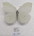  ( - SBG53)  @11 [ ] Copyright (2024) Haus der Natur, Salzburg Unspecified