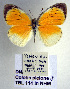  ( - TBL 114)  @13 [ ] Copyright (2009) Unspecified Unspecified