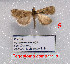  ( - Tsvetkov05)  @11 [ ] Copyright (2023) Eugene Tsvetkov Unspecified