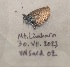  ( - VNSard-02)  @11 [ ] Copyright (2024) Natural History Museum Vienna, Research Collection Unspecified