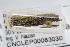 ( - VNLEP00265)  @12 [ ] Copyright (2011) Jean-Francois Landry Canadian National Collection