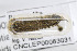  ( - VNLEP00266)  @12 [ ] Copyright (2011) Jean-Francois Landry Canadian National Collection