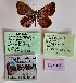  ( - VT-Tur02)  @11 [ ] Copyright (2024) Vadim Tshikolovets Unspecified