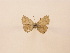  ( - Balint2023-31)  @11 [ ] Copyright (2023) Zsolt Balint Hungarian Natural History Museum