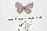  ( - GCB-Ch2)  @11 [ ] Copyright (2022) Gian Cristoforo Bozano Unspecified
