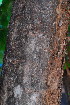  ( - OM3496)  @11 [ ] CreativeCommons - Attribution Non-Commercial Share-Alike (2011) Olivier Maurin University of Johannesburg