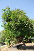  ( - OM3502)  @11 [ ] CreativeCommons - Attribution Non-Commercial Share-Alike (2011) Olivier Maurin University of Johannesburg
