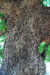  ( - OM3502)  @11 [ ] CreativeCommons - Attribution Non-Commercial Share-Alike (2011) Olivier Maurin University of Johannesburg