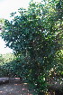  ( - OM3513)  @11 [ ] CreativeCommons - Attribution Non-Commercial Share-Alike (2011) Olivier Maurin University of Johannesburg
