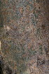  ( - OM3517)  @11 [ ] CreativeCommons - Attribution Non-Commercial Share-Alike (2011) Olivier Maurin University of Johannesburg