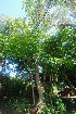  ( - OM3517)  @11 [ ] CreativeCommons - Attribution Non-Commercial Share-Alike (2011) Olivier Maurin University of Johannesburg