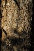  ( - OM3518)  @11 [ ] CreativeCommons - Attribution Non-Commercial Share-Alike (2011) Olivier Maurin University of Johannesburg
