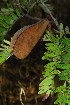  ( - OM3534)  @11 [ ] CreativeCommons - Attribution Non-Commercial Share-Alike (2011) Olivier Maurin University of Johannesburg