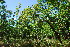  ( - OM3553)  @11 [ ] CreativeCommons - Attribution Non-Commercial Share-Alike (2011) Olivier Maurin University of Johannesburg