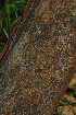  ( - OM3553)  @11 [ ] CreativeCommons - Attribution Non-Commercial Share-Alike (2011) Olivier Maurin University of Johannesburg