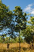  ( - OM3567)  @11 [ ] CreativeCommons - Attribution Non-Commercial Share-Alike (2011) Olivier Maurin University of Johannesburg