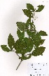  ( - OM3574)  @11 [ ] Unspecified (default): All Rights Reserved  Unspecified Unspecified