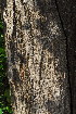  ( - OM3583)  @11 [ ] CreativeCommons - Attribution Non-Commercial Share-Alike (2011) Olivier Maurin University of Johannesburg