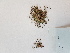  ( - BOT-CHARS-0601)  @11 [ ] CreativeCommons - Attribution (2019) Unspecified Centre for Biodiversity Genomics