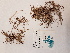  ( - BOT-CHARS-0626)  @11 [ ] CreativeCommons - Attribution (2019) Unspecified Centre for Biodiversity Genomics
