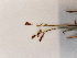  ( - BOT-CHARS-0644)  @11 [ ] CreativeCommons - Attribution (2019) Unspecified Centre for Biodiversity Genomics
