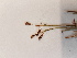  ( - BOT-CHARS-0644)  @11 [ ] CreativeCommons - Attribution (2019) Unspecified Centre for Biodiversity Genomics