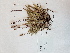  ( - BOT-CHARS-0670)  @11 [ ] CreativeCommons - Attribution (2019) Unspecified Centre for Biodiversity Genomics