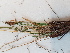  ( - BOT-CHARS-0680)  @11 [ ] CreativeCommons - Attribution (2019) Unspecified Centre for Biodiversity Genomics