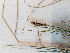  ( - BOT-CHARS-0680)  @11 [ ] CreativeCommons - Attribution (2019) Unspecified Centre for Biodiversity Genomics