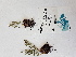  ( - BOT-CHARS-0690)  @11 [ ] CreativeCommons - Attribution (2019) Unspecified Centre for Biodiversity Genomics