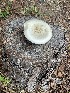  ( - VSC-F0000118)  @11 [ ] by (2020) cormia Valdosta State University