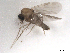  ( - BIOUG01785-C06)  @12 [ ] CreativeCommons - Attribution (2012) CBG Photography Group Centre for Biodiversity Genomics