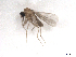  ( - BIOUG01785-C07)  @12 [ ] CreativeCommons - Attribution (2012) CBG Photography Group Centre for Biodiversity Genomics