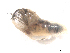  ( - BIOUG01785-H04)  @12 [ ] CreativeCommons - Attribution (2012) CBG Photography Group Centre for Biodiversity Genomics