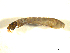  ( - BIOUG01783-B02)  @12 [ ] CreativeCommons - Attribution (2012) CBG Photography Group Centre for Biodiversity Genomics